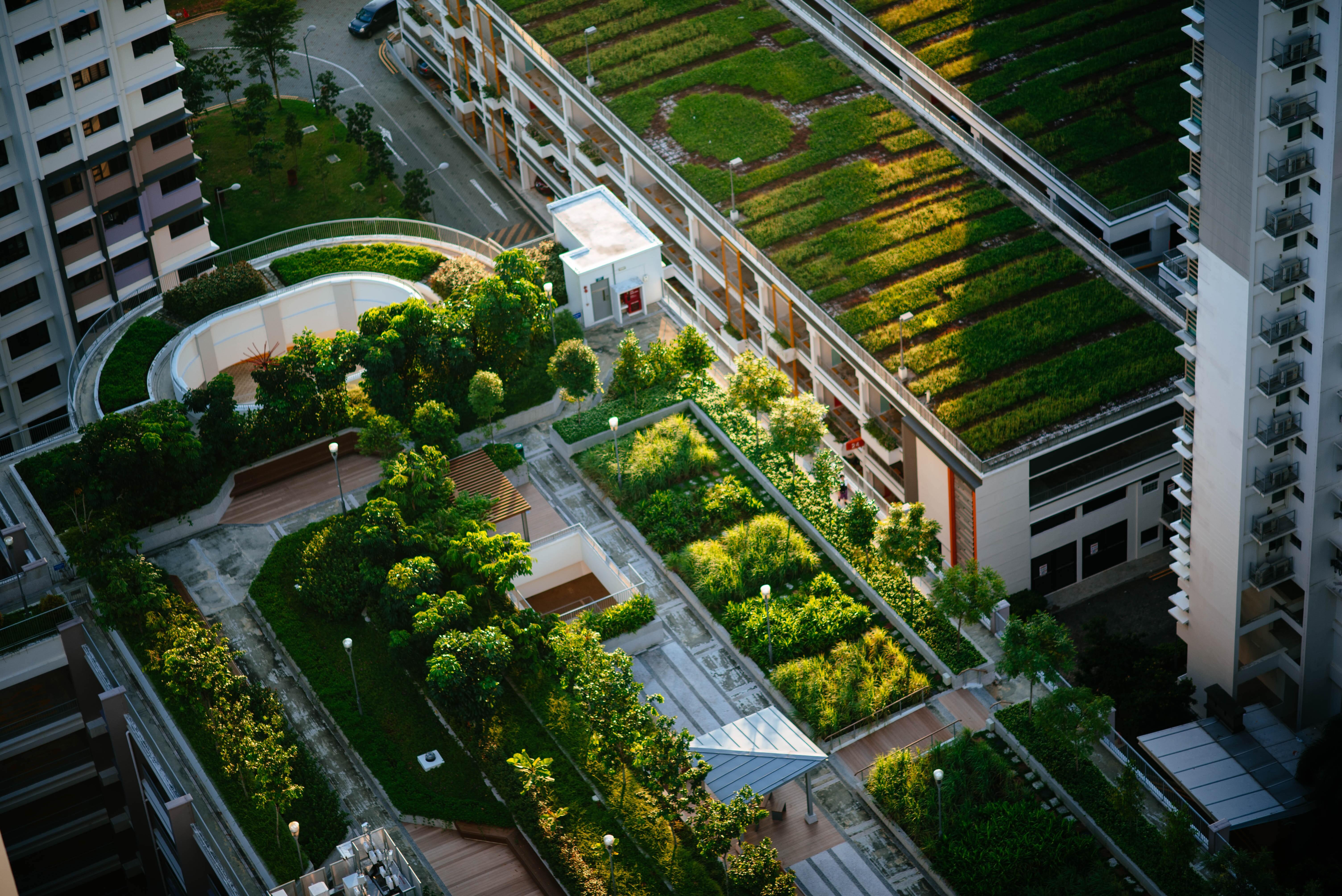 City rooftops being utilised as gardens benefits human health and well-being