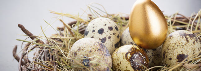 Eggs in a nest with one golden egg