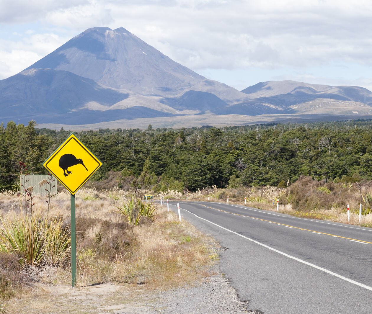 A kiwi bird road sign on a highway looking toward a mountain in New Zealand