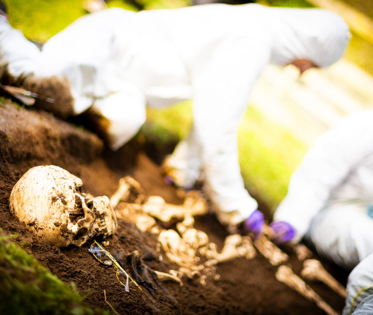 Investigators wearing white protective suits, excavating skeletons from the earth in a mock grave training excavation