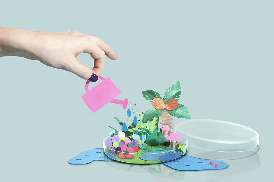 Hand watering a paper craft world in petri dish