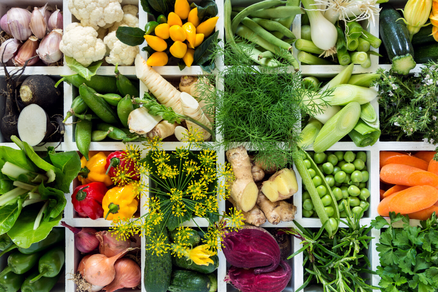 Colourful fresh vegetables and herbs packed into discrete white storage cubes.