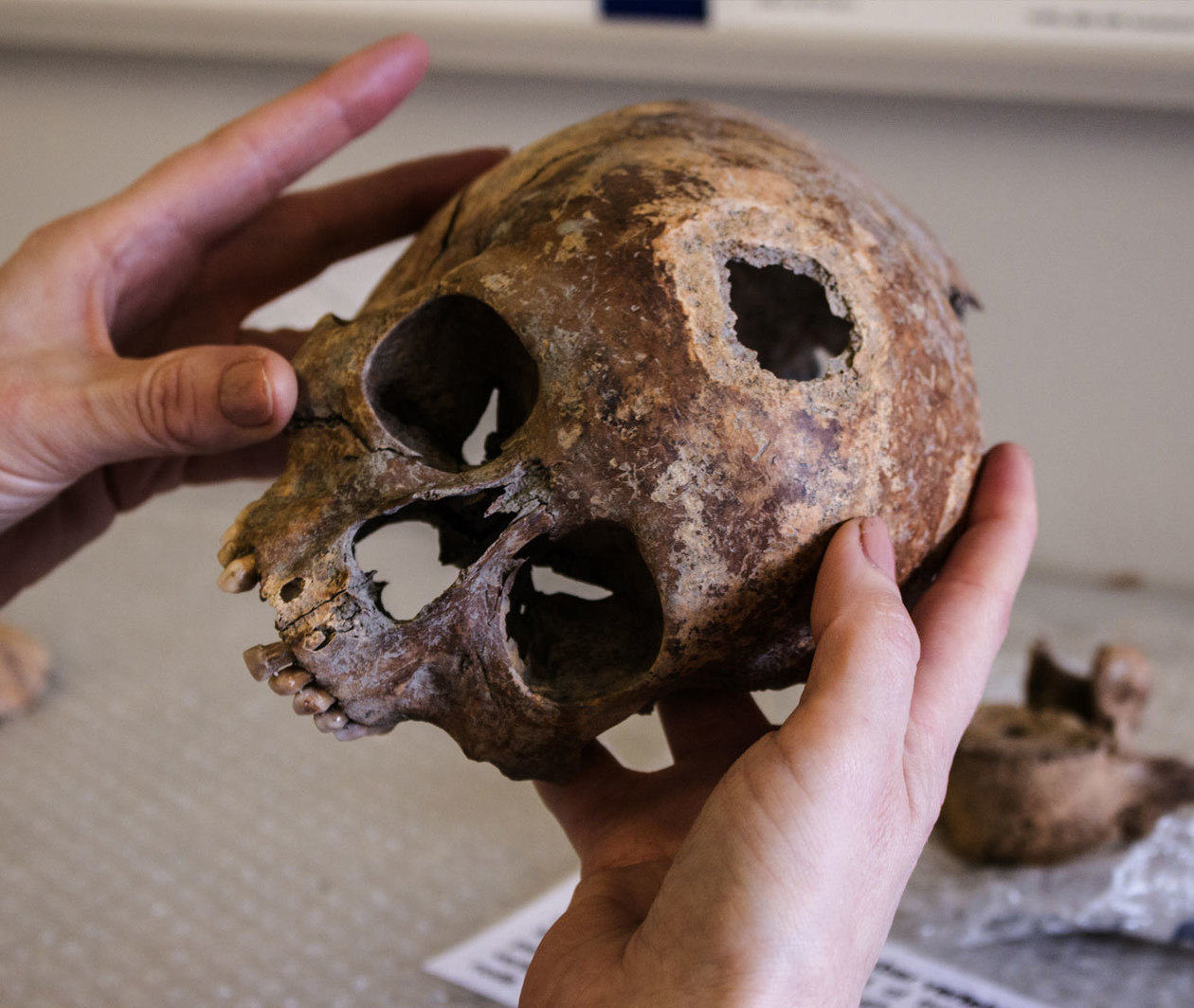 Archaeology: from Dig to Lab and Beyond