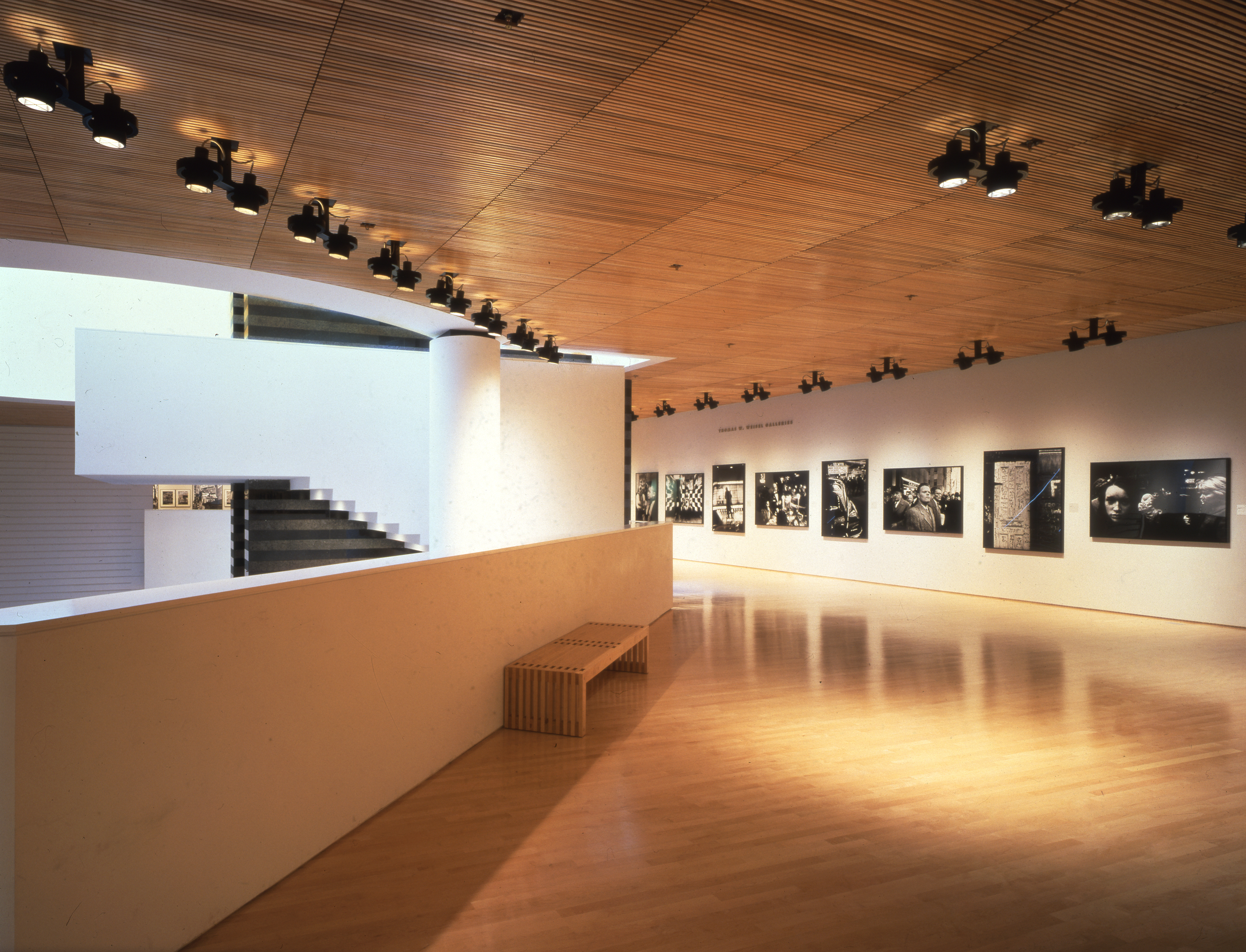 MoMa MoMa