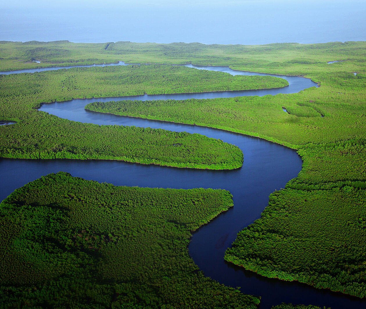 River by the ocean running through lush green wetlands