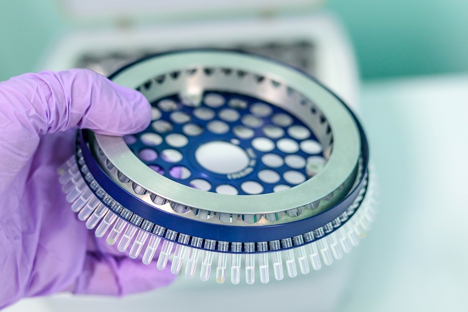 Hand holding a component for carrying out Polymerase Chain Reaction (PCR)