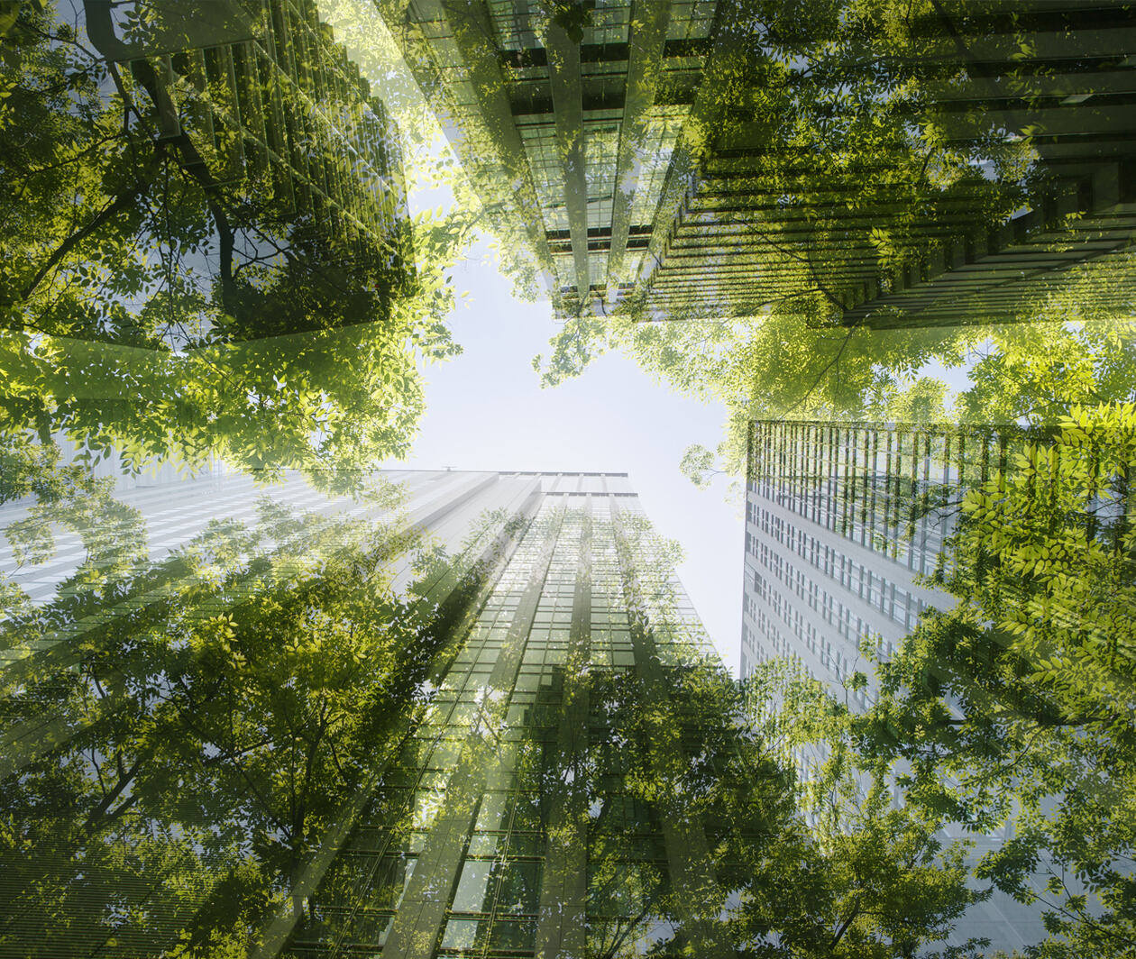 Multilayer of cityscape images mixed with green plants and trees from a low angle point of view.