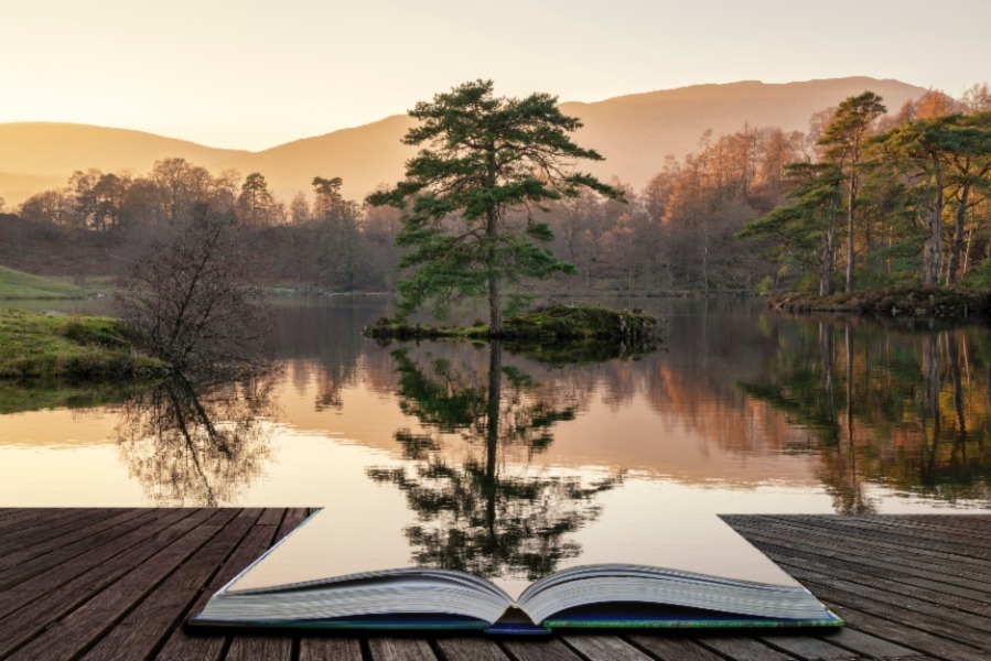 Beautiful woodland setting and book.