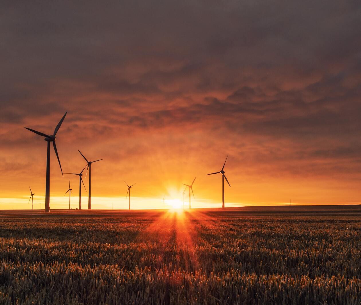 A wind farm