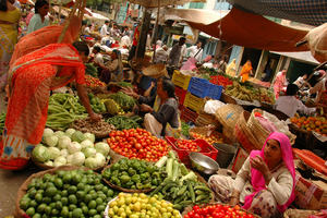 Udaipur Market