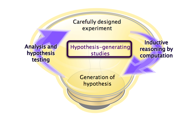 The cycle from discovery phase experiments to the generation of hypothesis, with a light bulb in the background