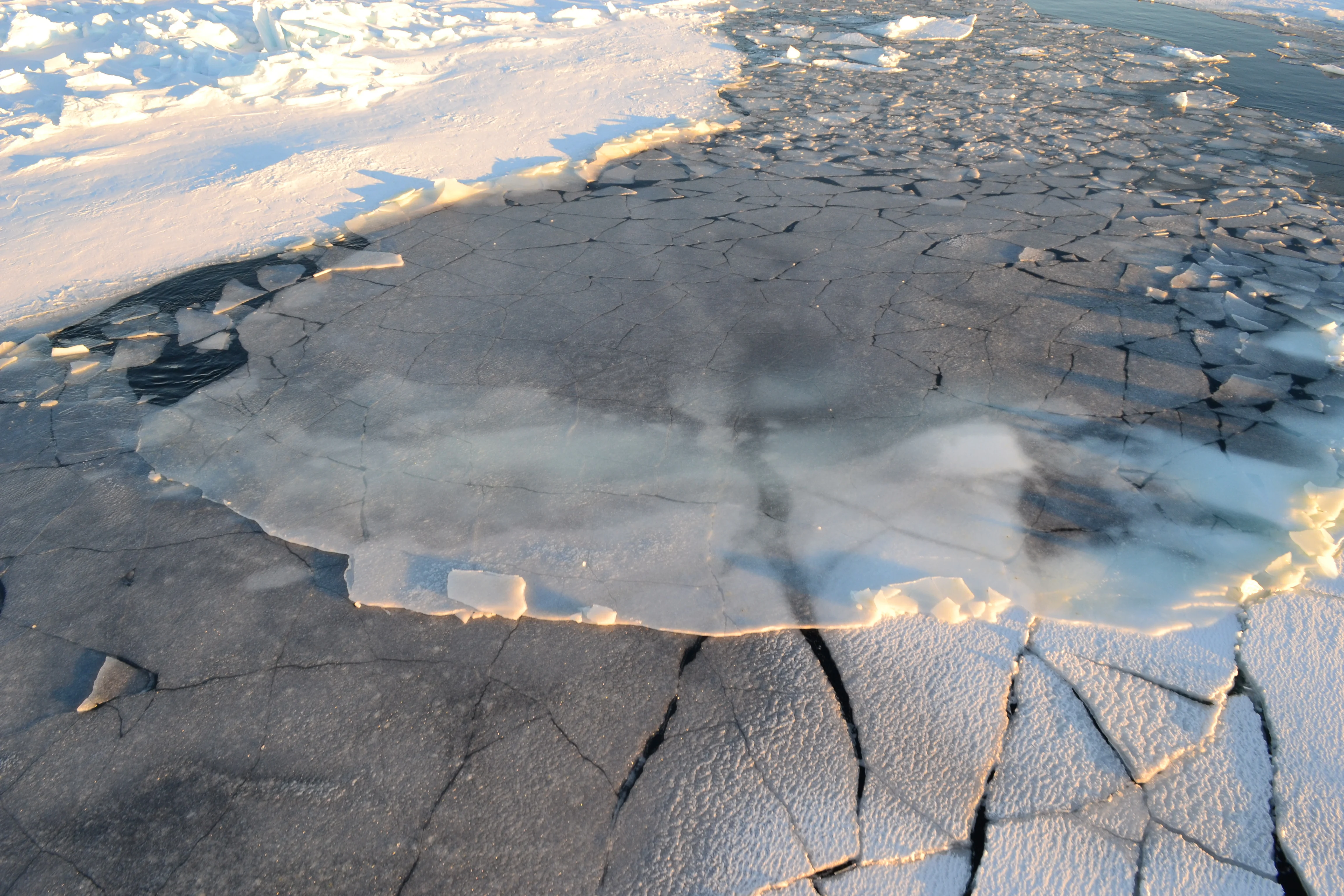 An above water view of cracked sea ice