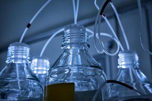 Bottles of water