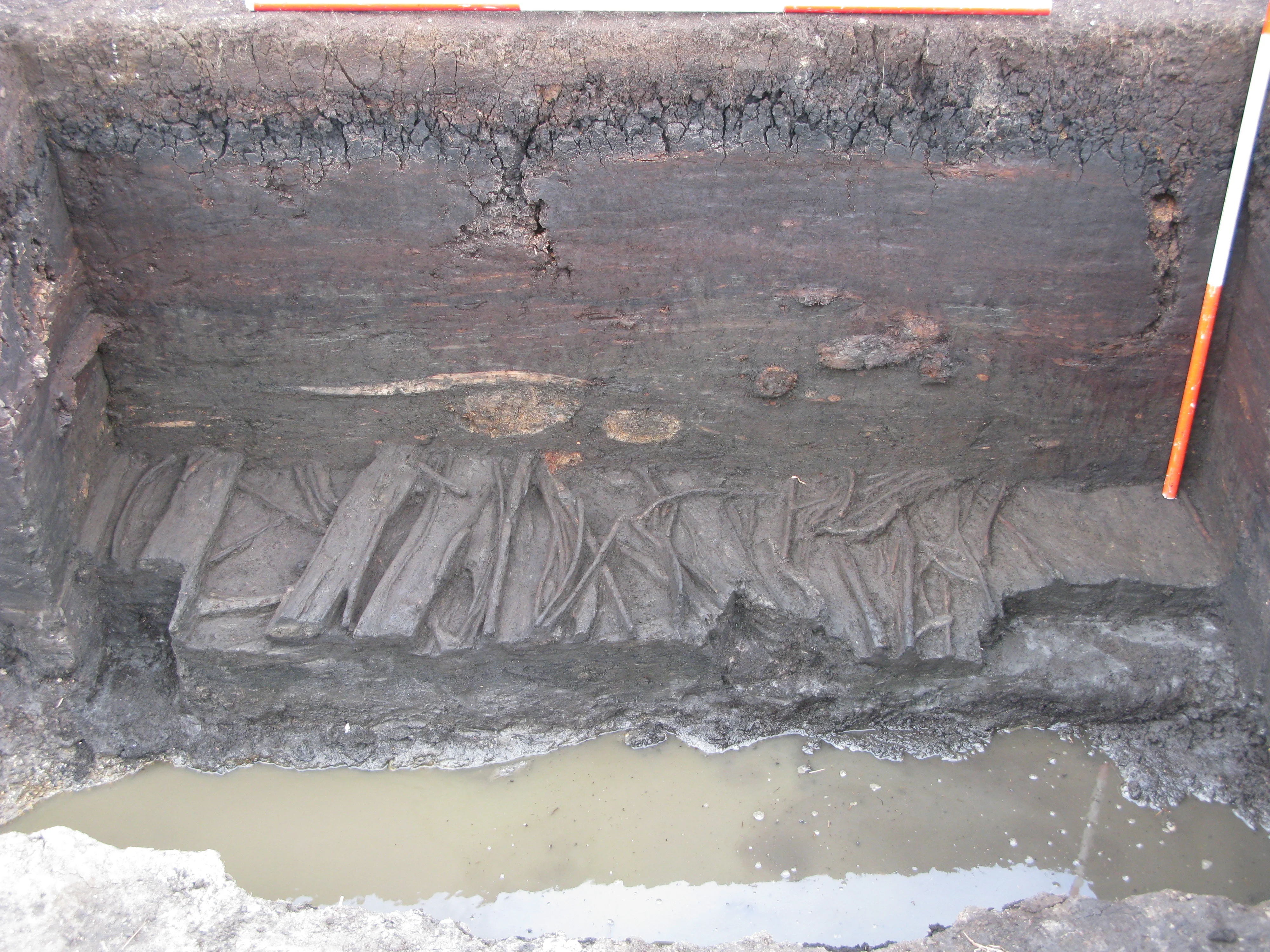 Sediments at Star Carr showing the stratigraphy through peat