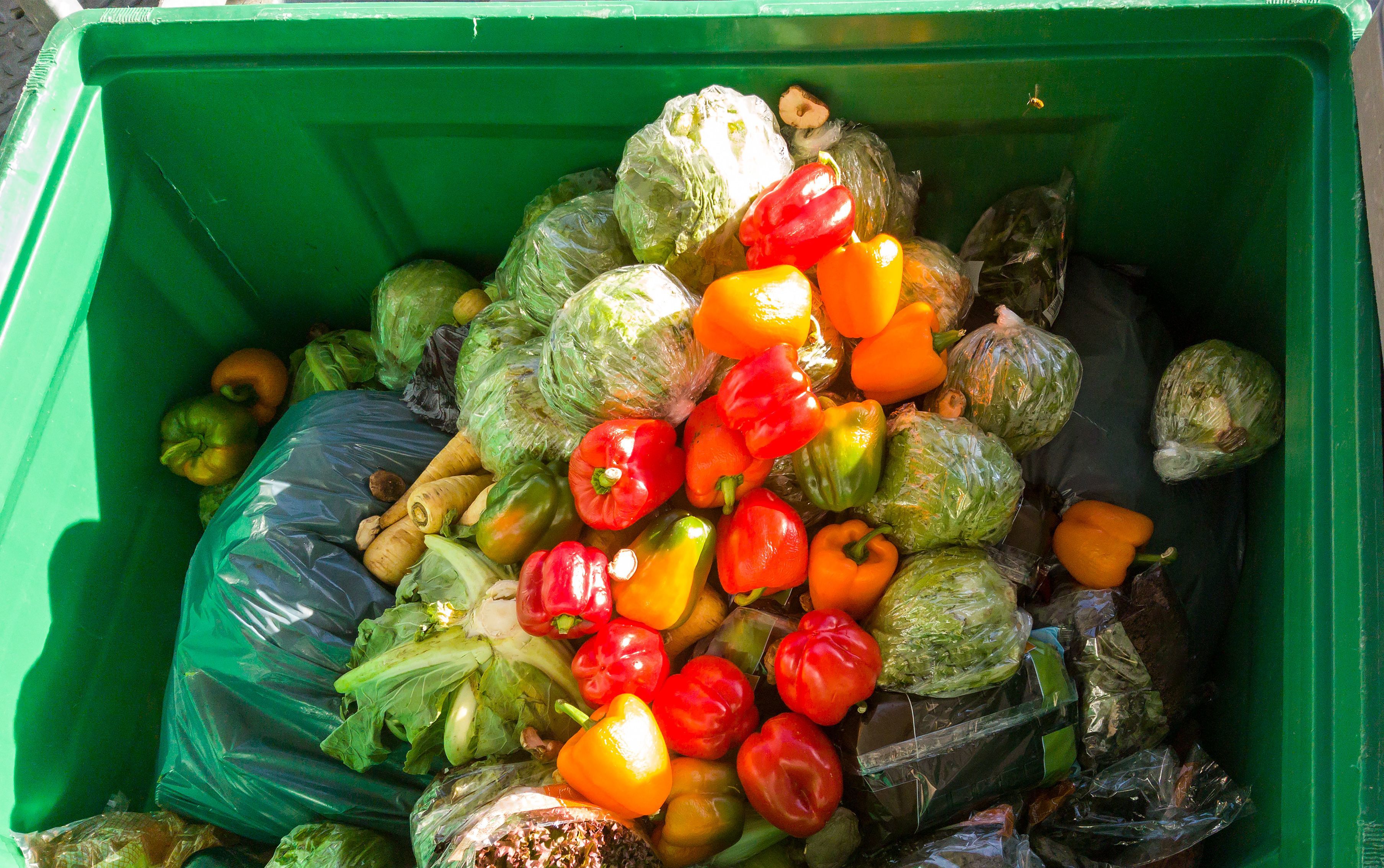 A photgraph of a commercial waste bin full of discarded vegetables, which all look fit for consumption.