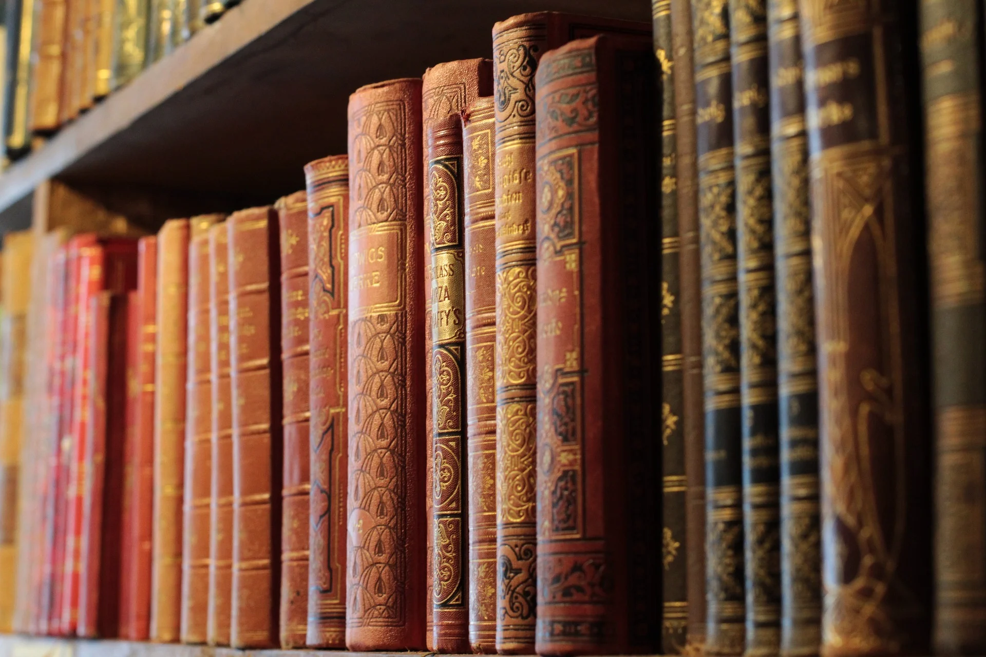 A collection of books in a library