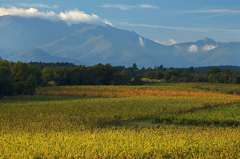 A scenic photo of a field with a mountain range in the background.