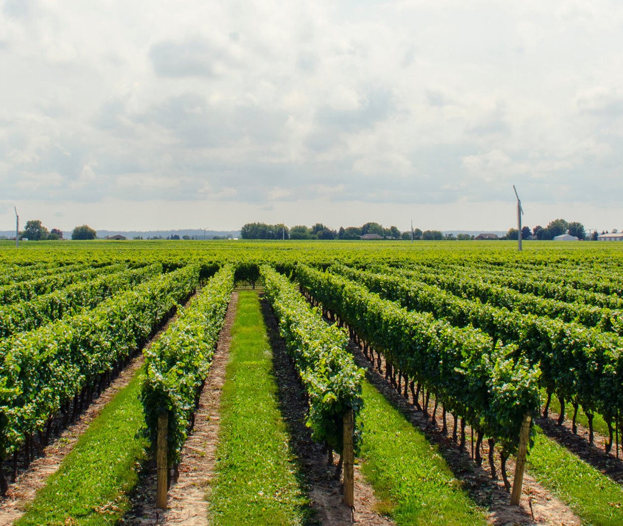 Agricultural field