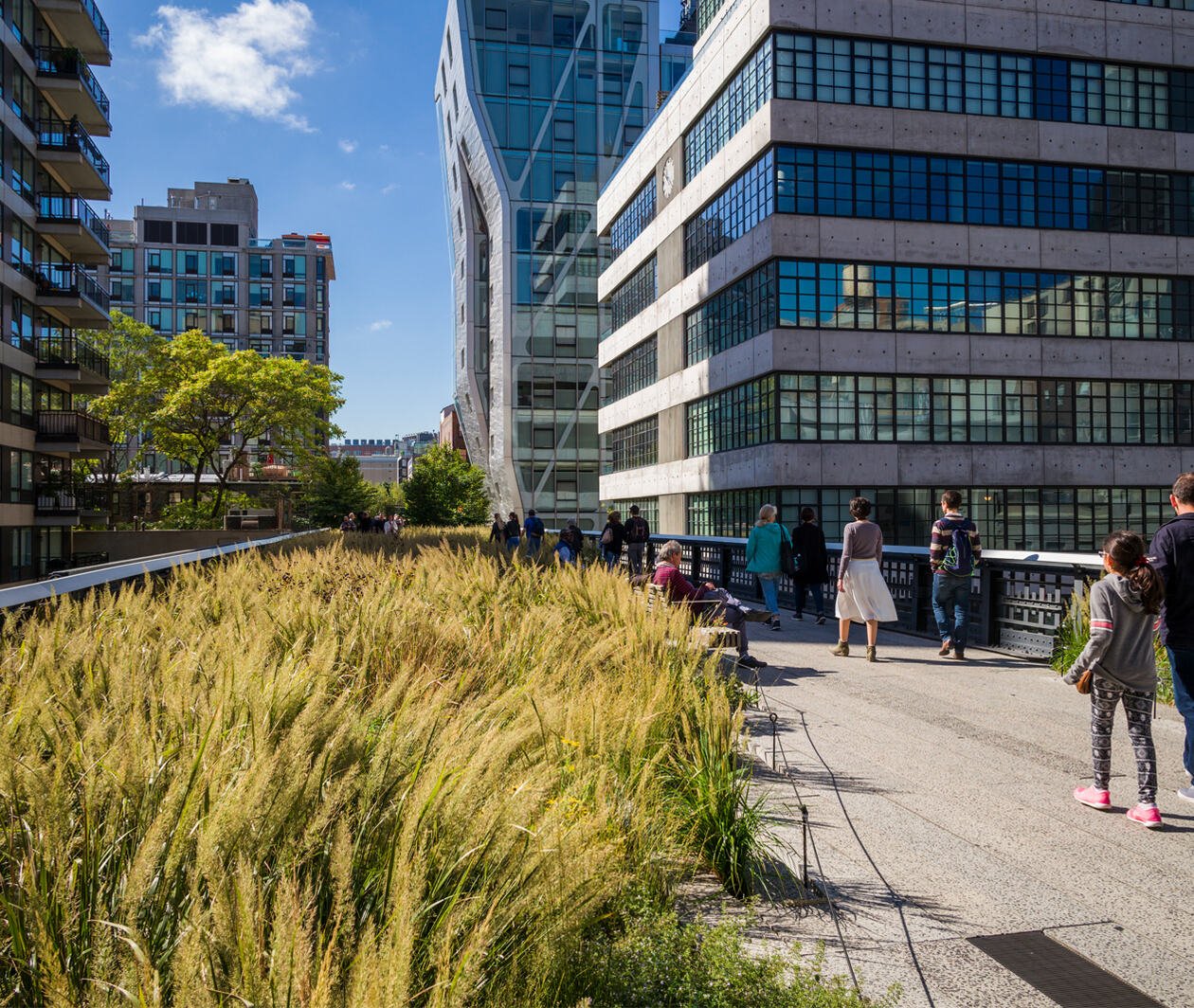 People walking along a green corridor with plants and trees in the High Line park, New York City. Comprising high rise building on both sides.