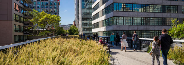 People walking along a green corridor with plants and trees in the High Line park, New York City. Comprising high rise building on both sides.