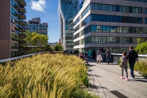 People walking along a green corridor with plants and trees in the High Line park, New York City. Comprising high rise building on both sides.