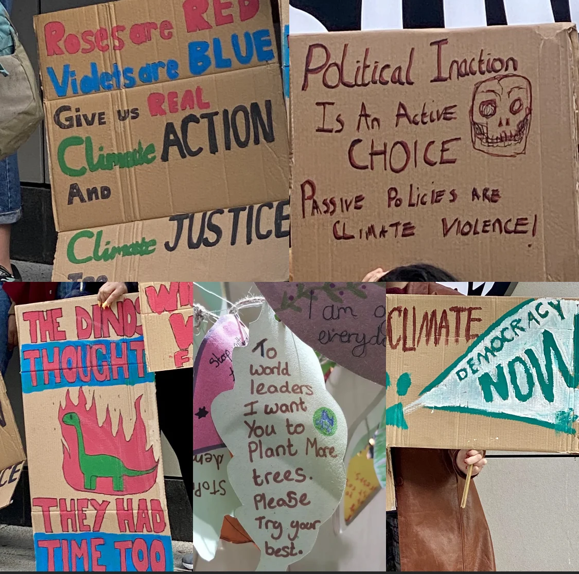 Placards made by young people showing a range of demands on climate action.