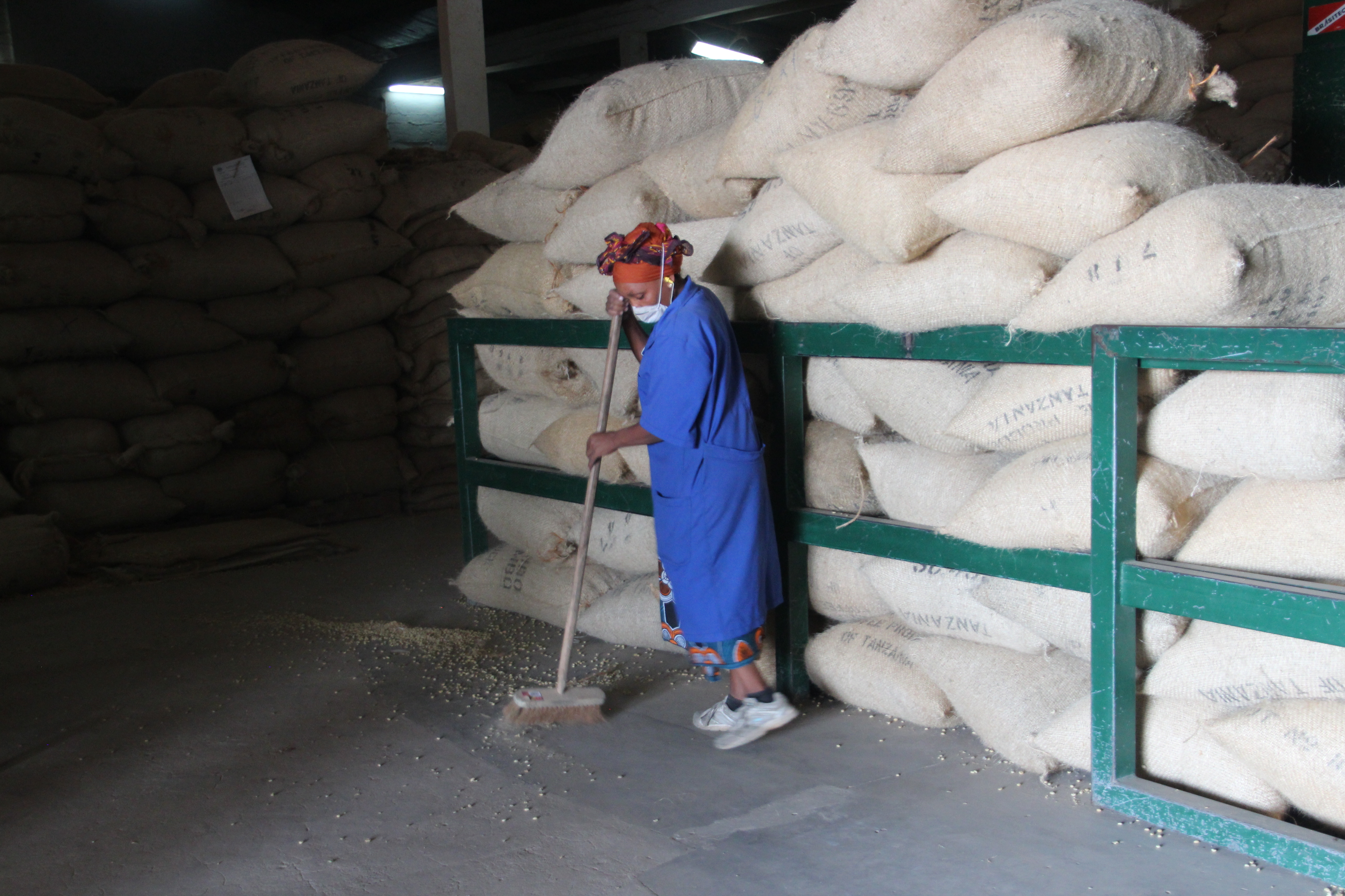 Worker sweeping the floor in a coffee factory