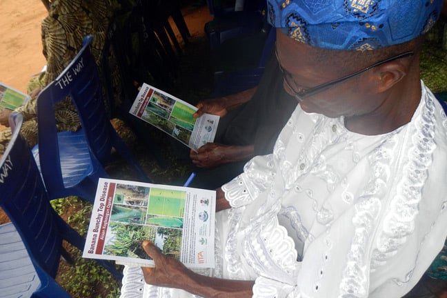 Older farmer reading using his spectacles