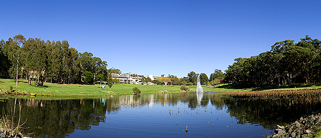 Macquarie University North Ryde campus pond with grass and buildings