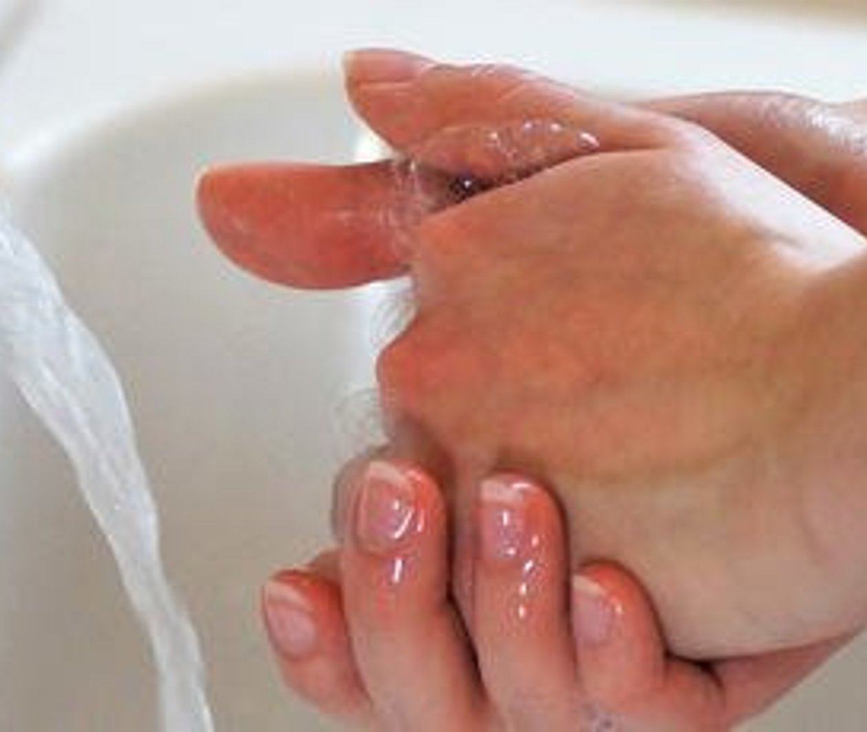 e-Bug Health Educator Training