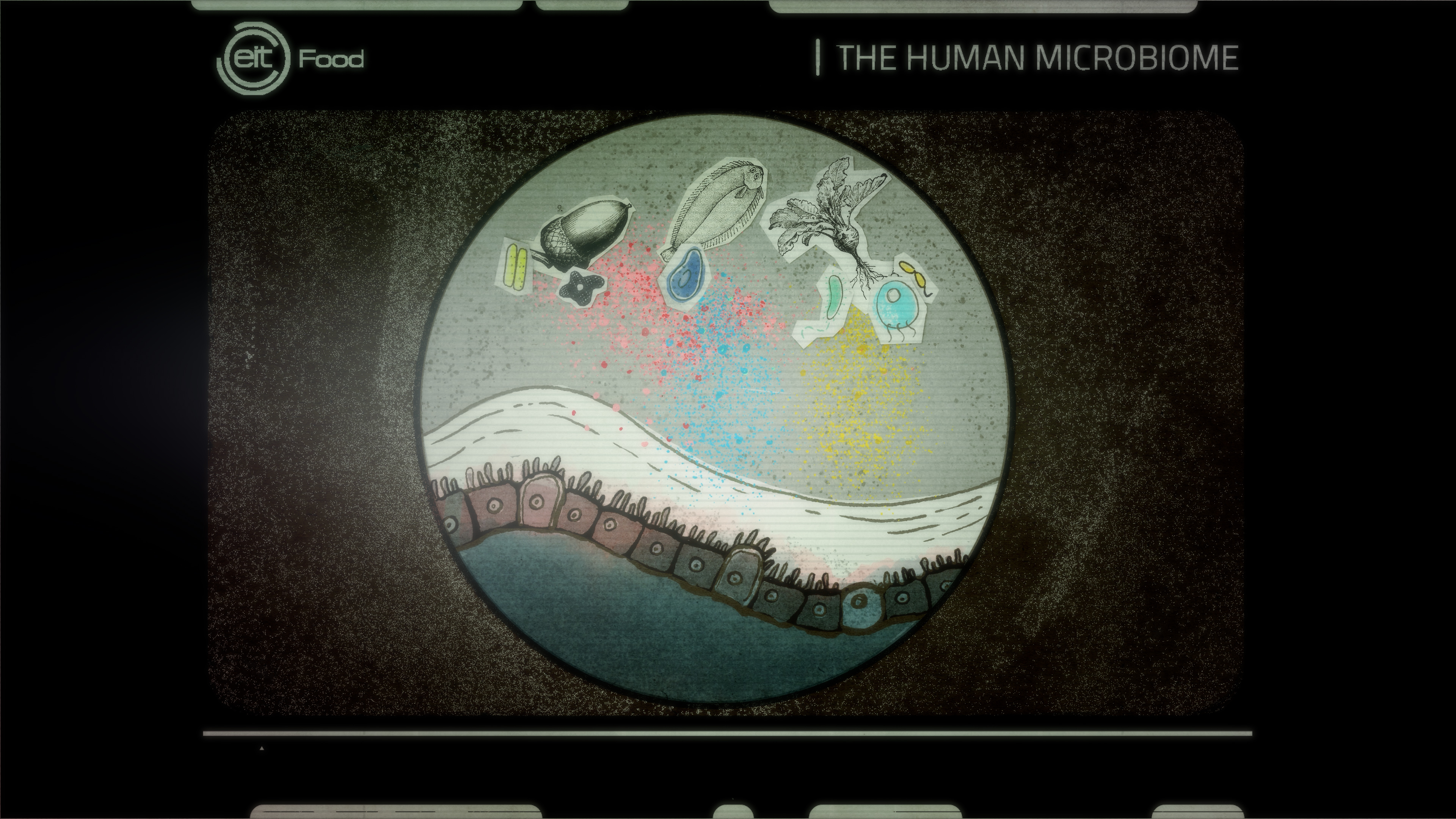 A picture describing the messaging of microbiota with intestinal cells.