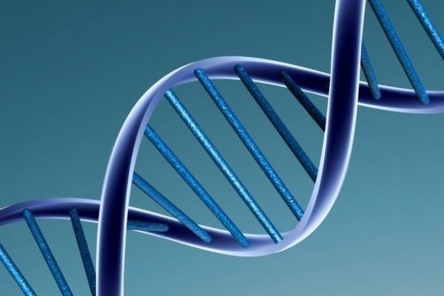 DNA Double Helix