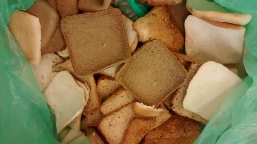 A bag containing lots of slices of waste bread.