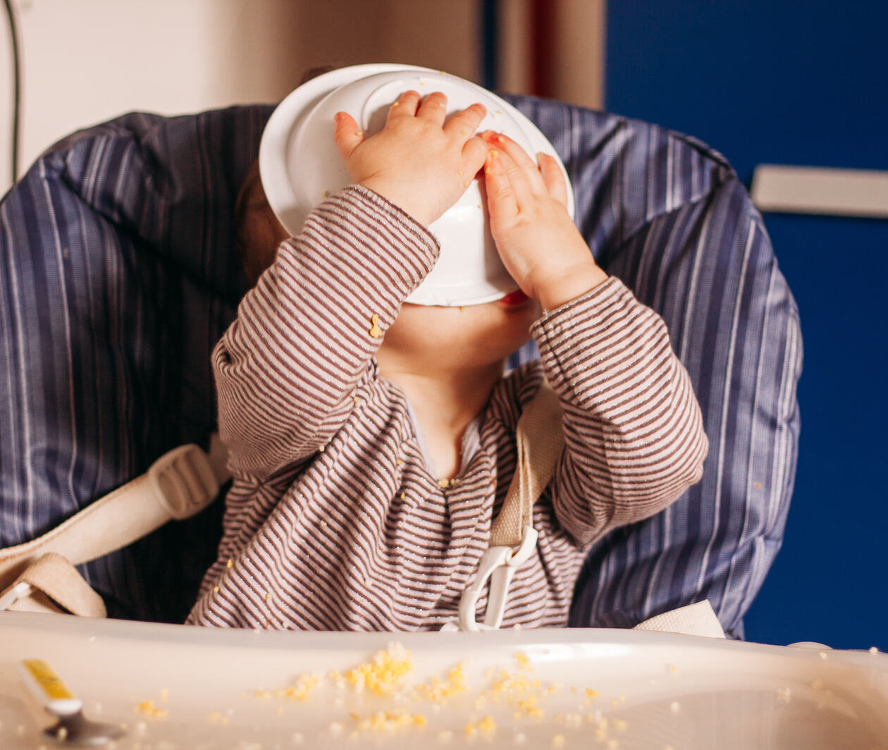 Toddler eating with the face in the plate