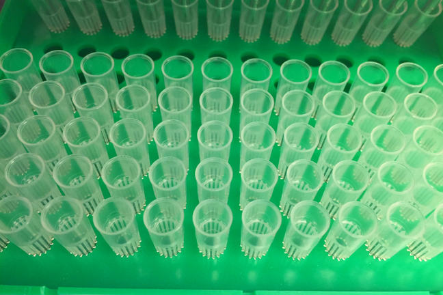 pipette tips in green box