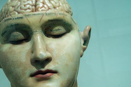 Museum piece of a model of a human face with the eyes closed revealing part of the brain