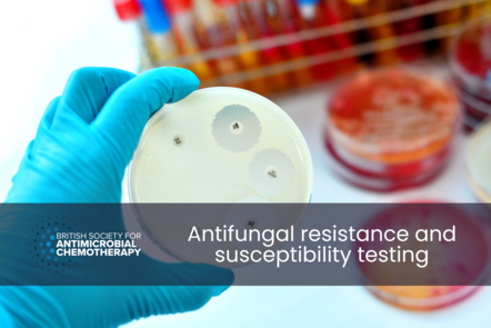 A gloved hand hold a petri dish with susceptibility testing set up. Title text reads "Antifungal resistance and susceptibility testing". 