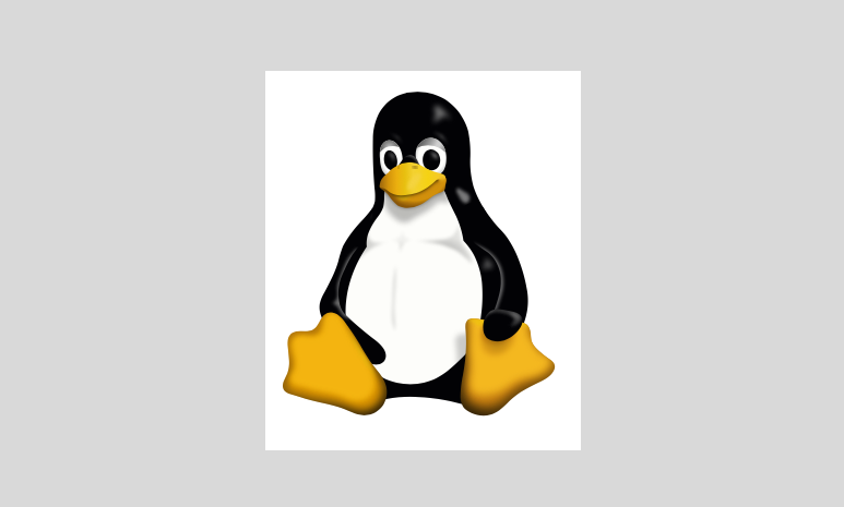 cartoon representation of the Linux terminal, black screen with command prompt