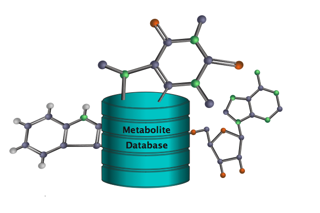 A database with several metabolites