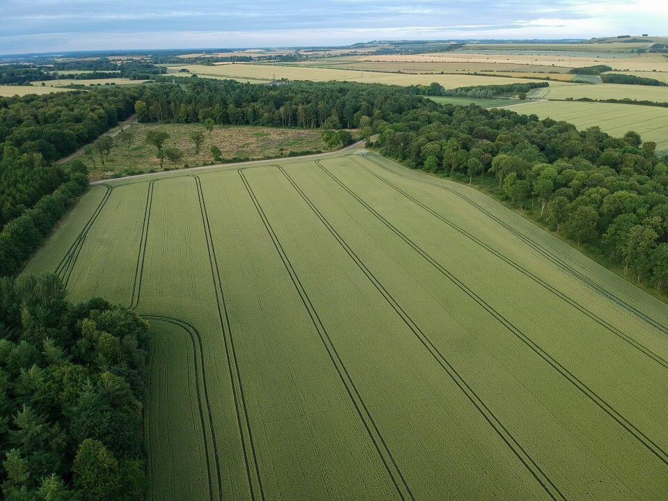 Aerial photograph of a field surrounded by trees