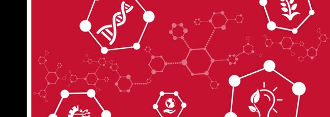 chemical engineering 