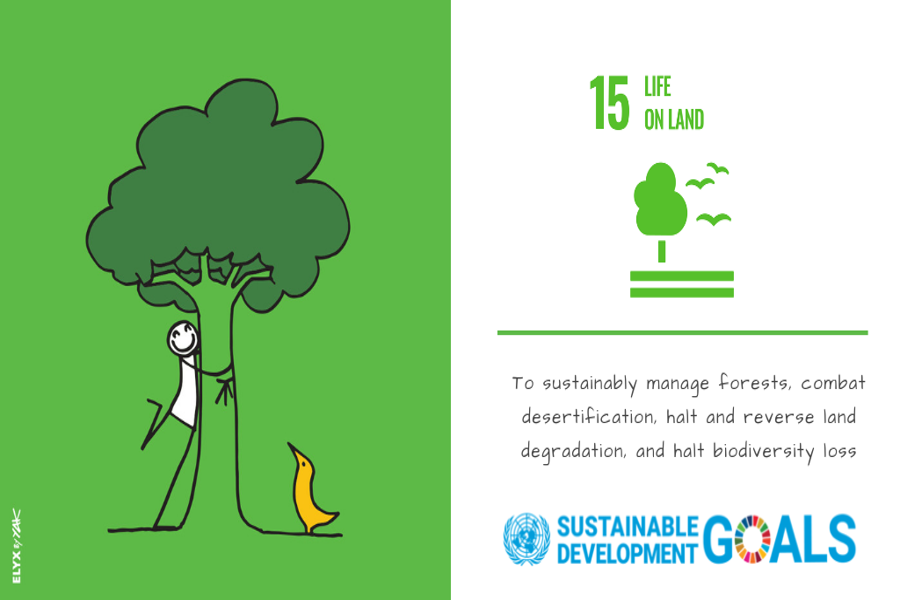 The icon for SDG 15