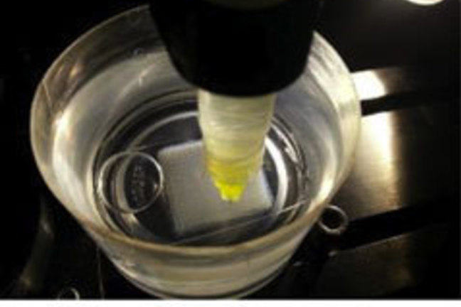 extrusion printing process