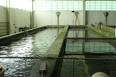 An indoor land-based aquaculture system with a large water tank. 