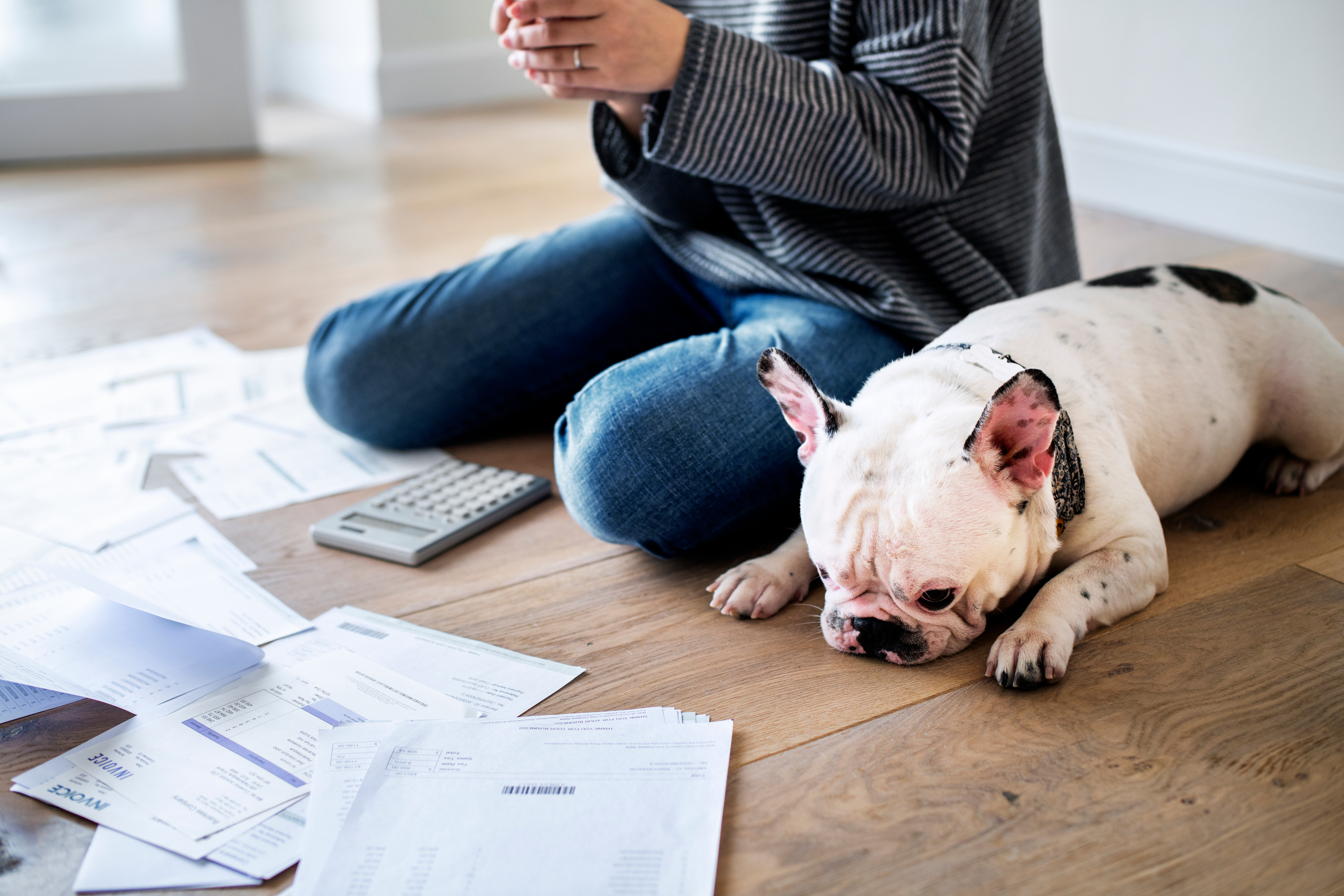 photo of a range of paperwork including invoices laid out on the floor next to a calculator with a person looking at their phone and a dog looking on