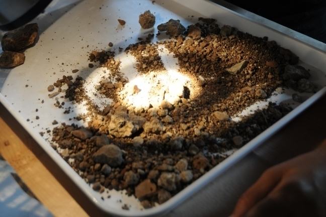 Sorting residues for palaeobotanical material