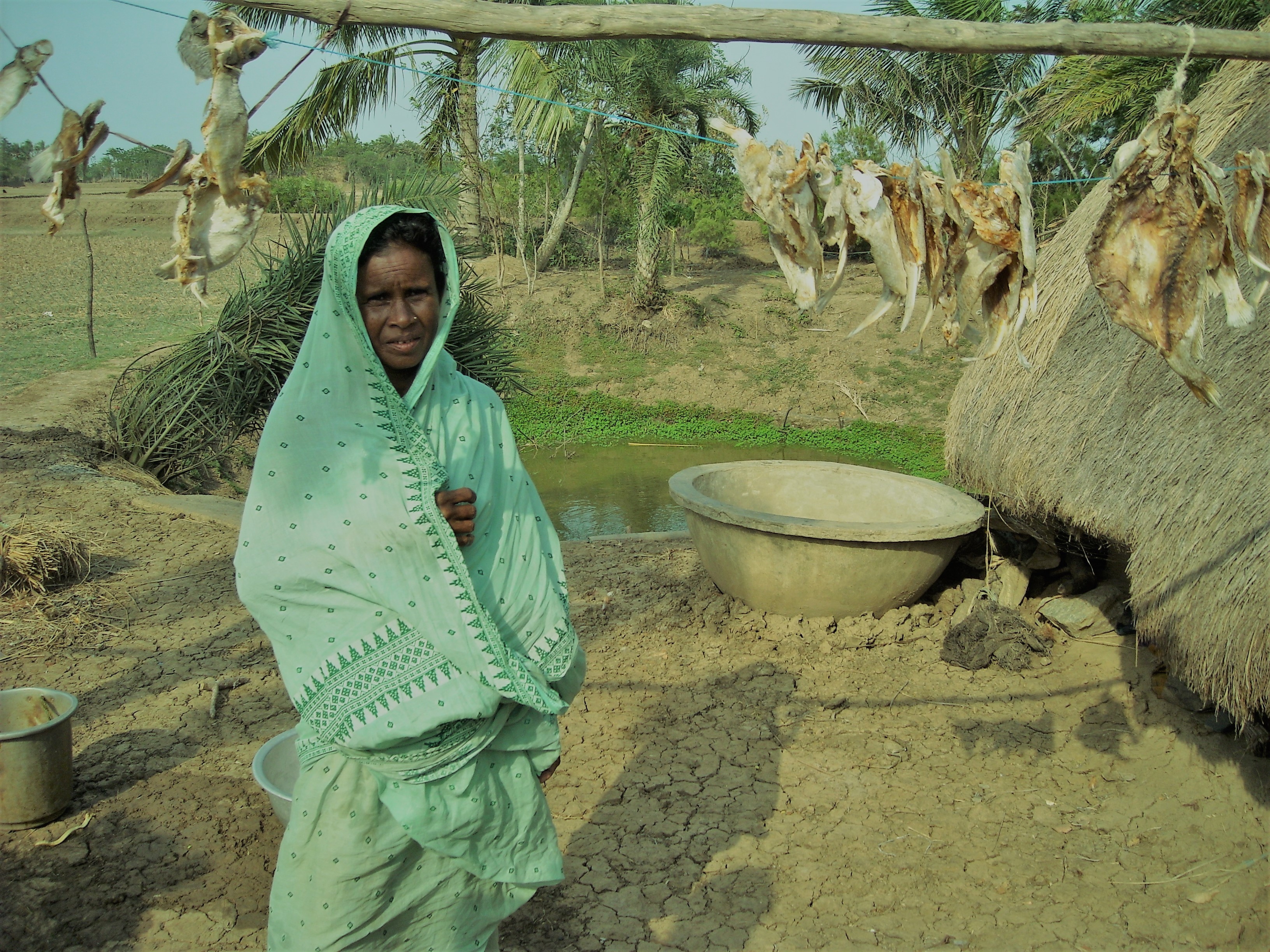 Lady standing underneath lines of fish being dried