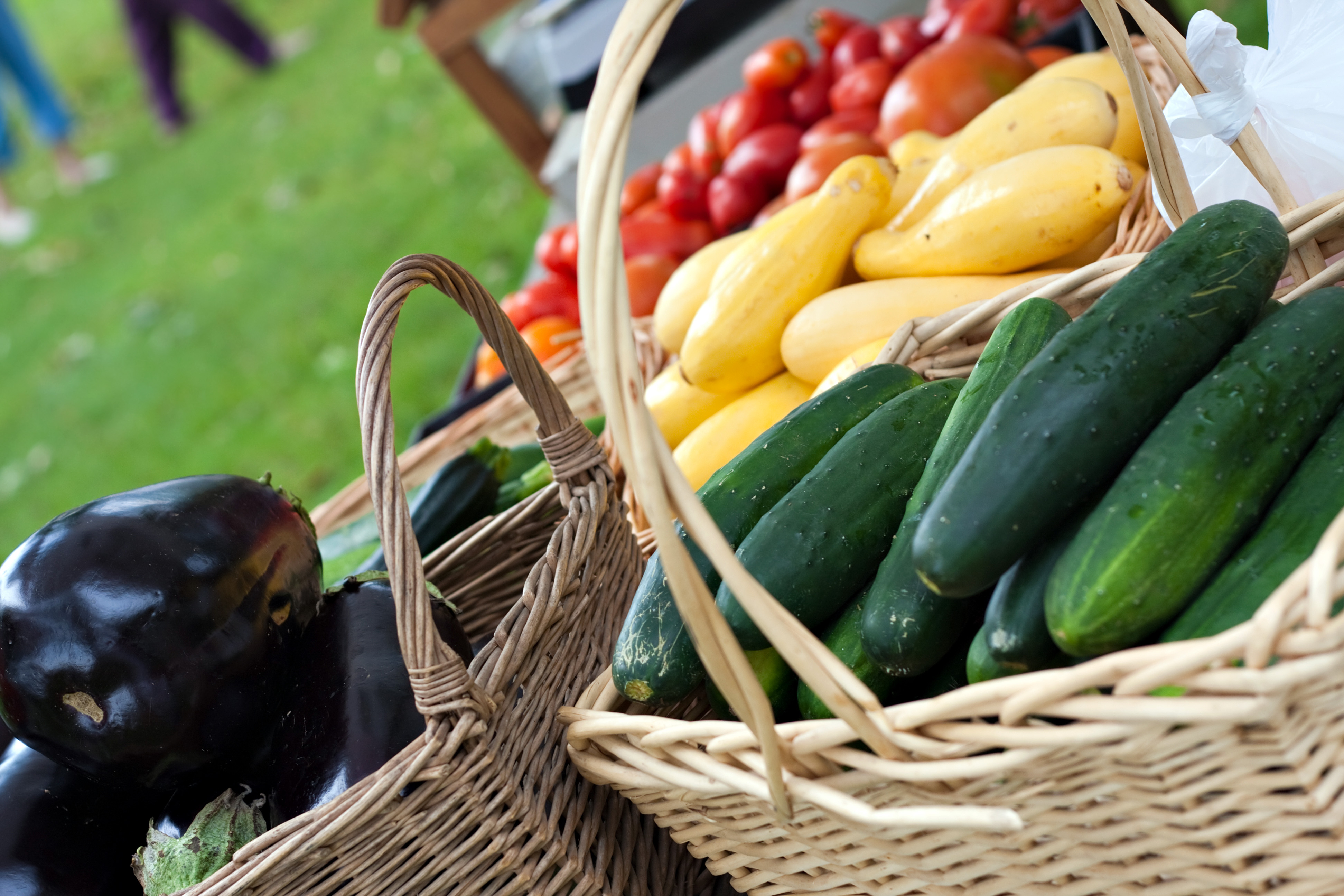 Farmers market baskets on a table full with fresh organic produce