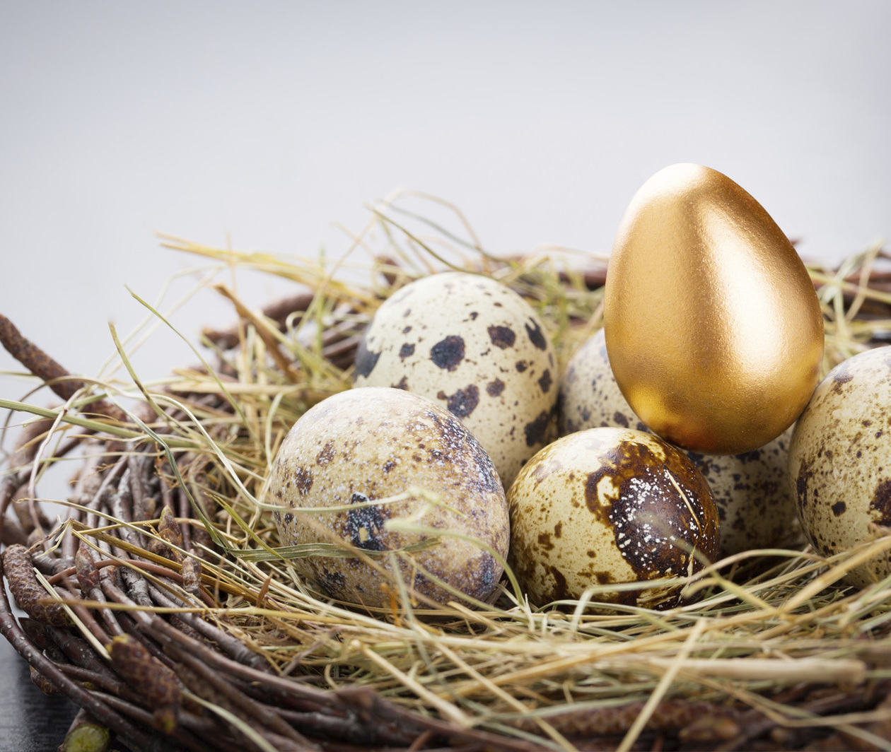 A golden egg sits in a next with other normal eggs, representing wealth and income inequality