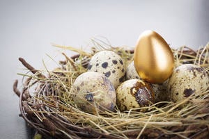 A golden egg sits in a next with other normal eggs, representing wealth and income inequality